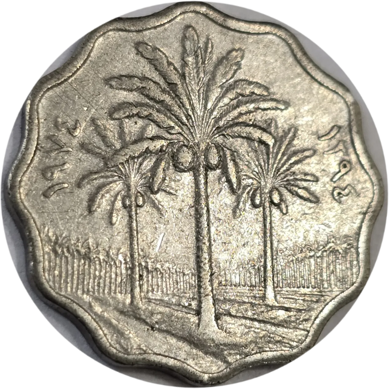سکه عراق 5 فلس عراق درخت نخل